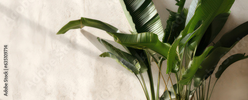 banana palm leaves against a light plastered wall, generative ai