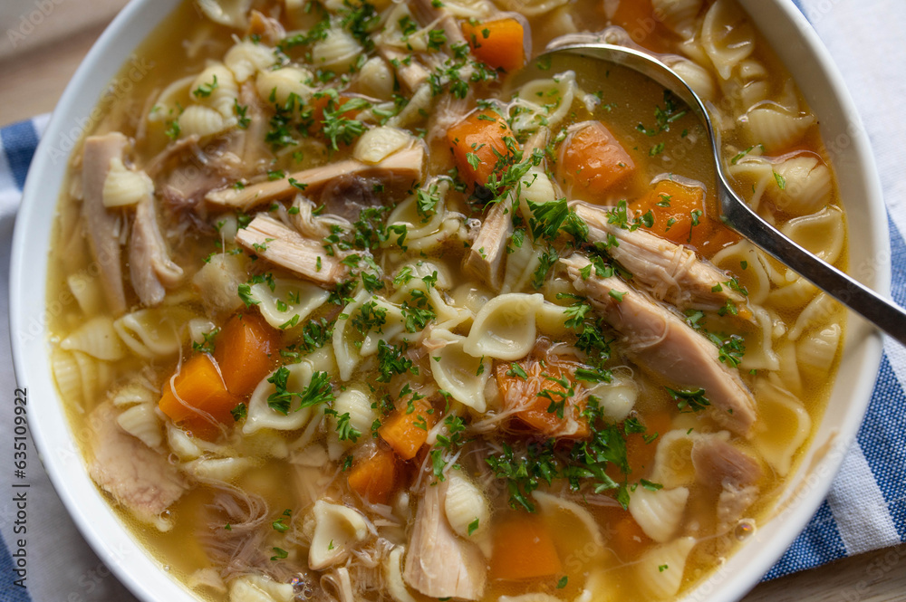 Chicken soup with noodles, carrots and parsley in a bowl. Chicken soup with noodles, carrots and parsley in a bowl.