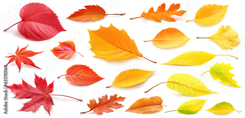 Fotografering Set of autumn leaves of different colors isolated on white
