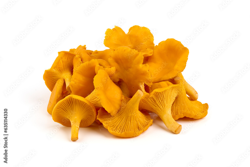 Raw fresh chanterelles mushrooms, isolated on white background. Raw fresh chanterelles mushrooms, isolated on white background.