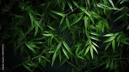 Green floral background. Drops of rain on bamboo leaves. Rainforest after rain.