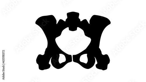 pelvic bones silhouette