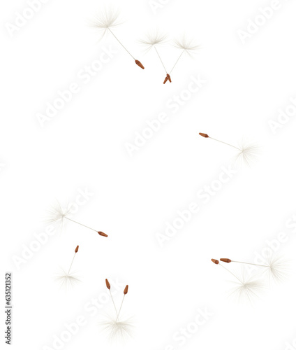 3d render flying dandelion petals blown by wind © Arasigner