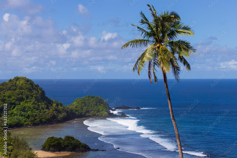 Beautiful landscape view of the National Park of American Samoa on the island of Tutuila.