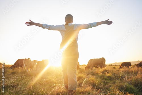 Sunrise  cow and woman on farm with open arms for freedom  adventure and excited for agriculture. Sustainable farming  morning and back of farmer with cattle  livestock and animals in countryside