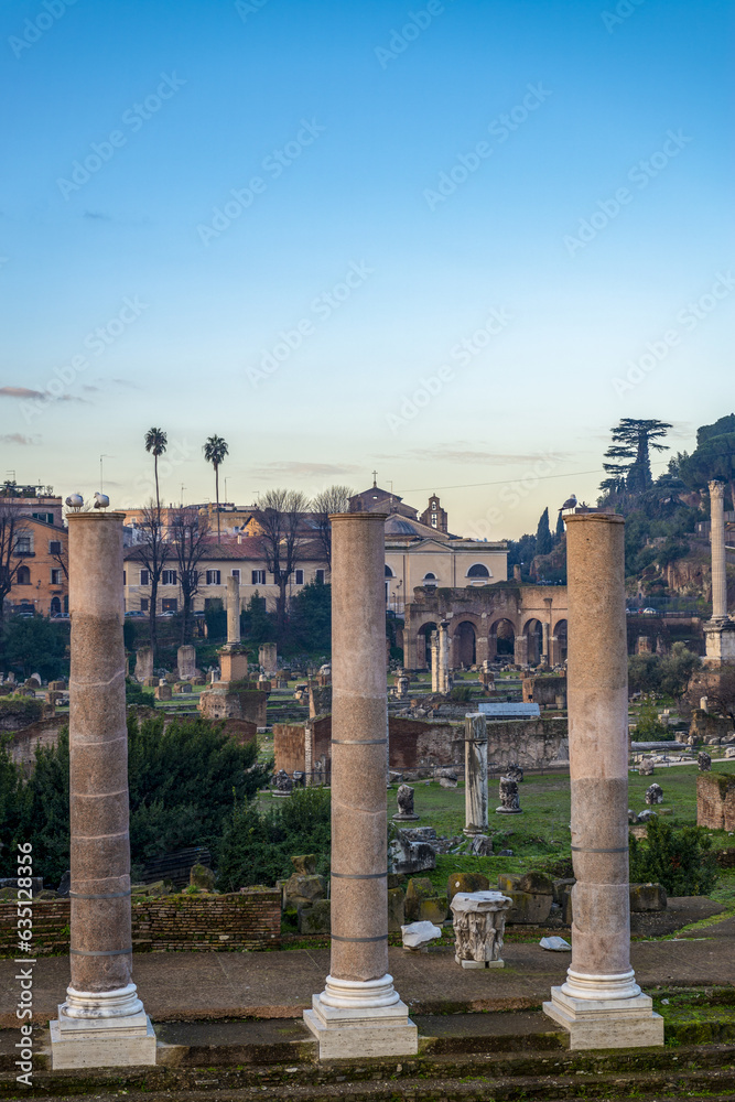 Ruines du Forum Romain à Rome Ruines du Forum Romain à Rome