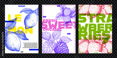 Strawberries,lemon and raspberries. Set of vector posters, banners, template design. Typography. Vintage pencil sketch. Engraving style. Labels, cover, t-shirt print, painting.