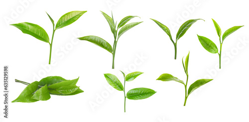 mix green tea leaves on white background
