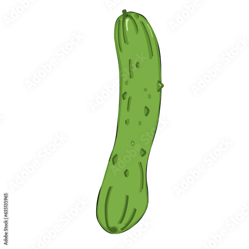 Cucumber 