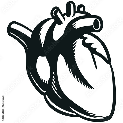 Silhouette Human Heart Internal Cardiovascular Organ