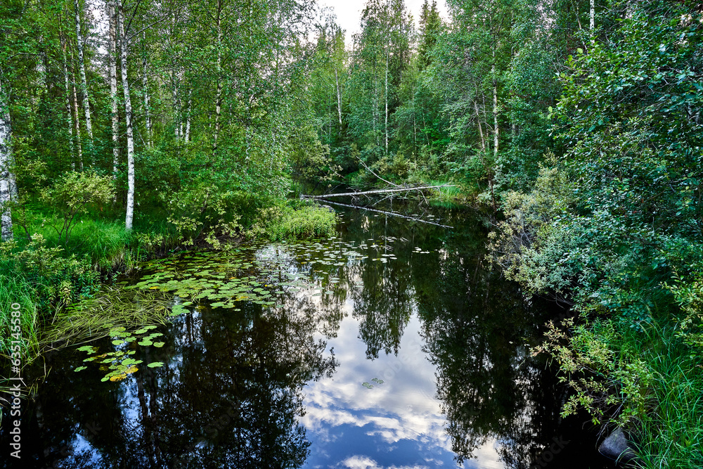 river in the woods river in the woods