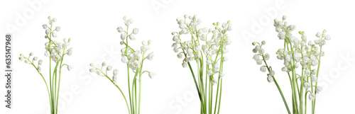 Set of beautiful lily of the valley flowers on white background
