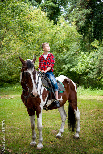 little handsome blonde smiling boy in red checkered shirt riding horse in green forest on sunny day