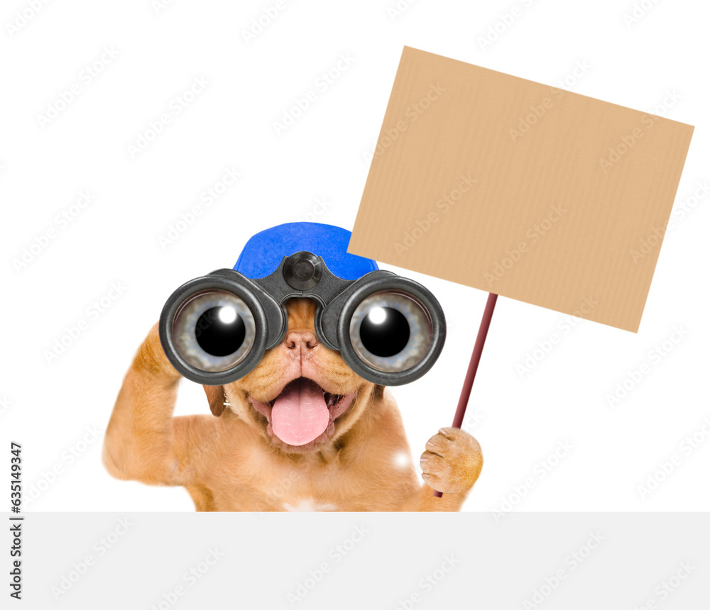 Happy mastiff puppy wearing blue cap looks through binoculars and shows empty placard above empty white banner. Isolated on white background