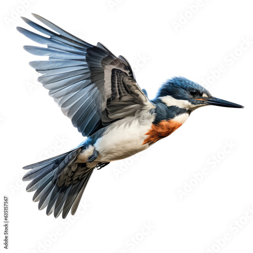 a Belted Kingfisher in flight, side view in a Nature-themed, photorealistic illustration in a PNG, cutout, and isolated. generative ai