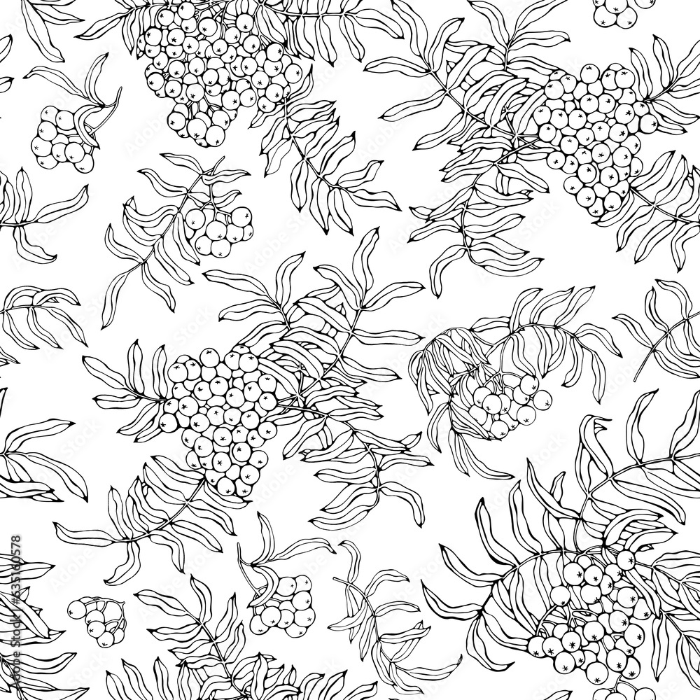 Seamless pattern rowan branch with berries and leaves. Line art, black outline illustration. Transparent background. Tree branch elements. Collection.