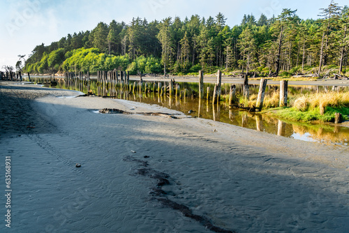 Moclips River Pilings 10 photo