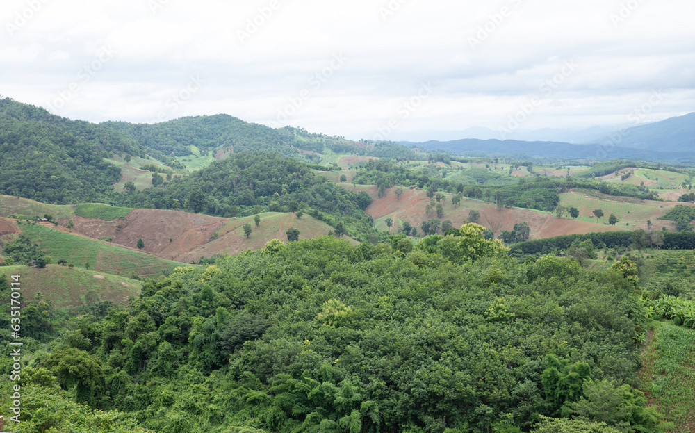 Aerial view landscape of plantation area and green trees on complicated hill  in Nan province, northern of Thailand.
