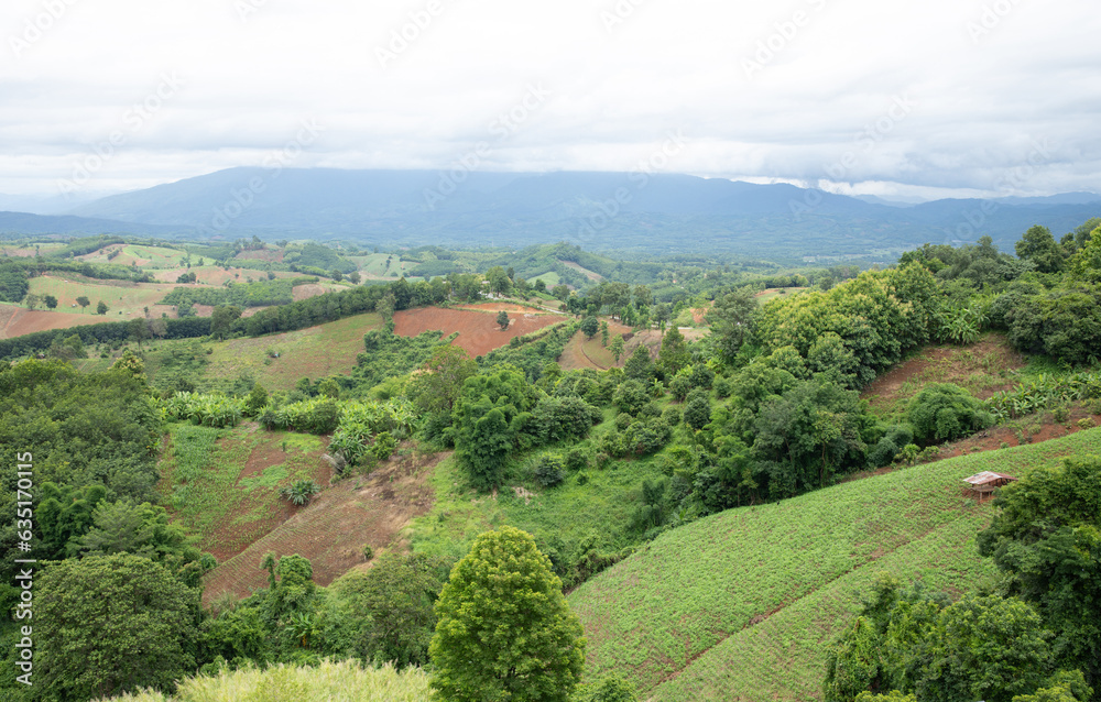 Aerial view landscape of plantation area and green trees on complicated hill  in Nan province, northern of Thailand.