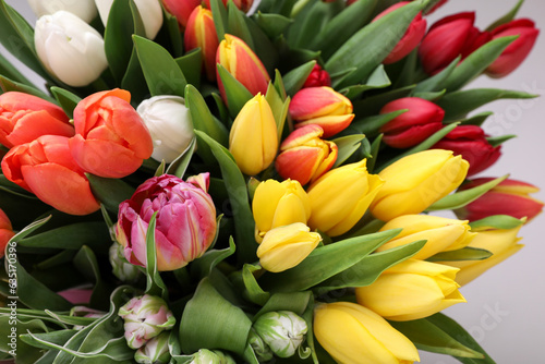 Beautiful colorful tulip flowers on light grey background, closeup with above view