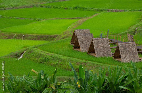 Obraz na plátně Top view of thatched roof huts near rice field at Nan province, Thaoland