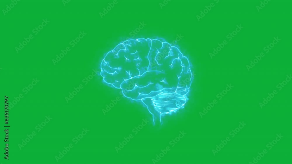 Visualizing Cognitive Processes: Human Brain Loop Animation Guide vídeo ...