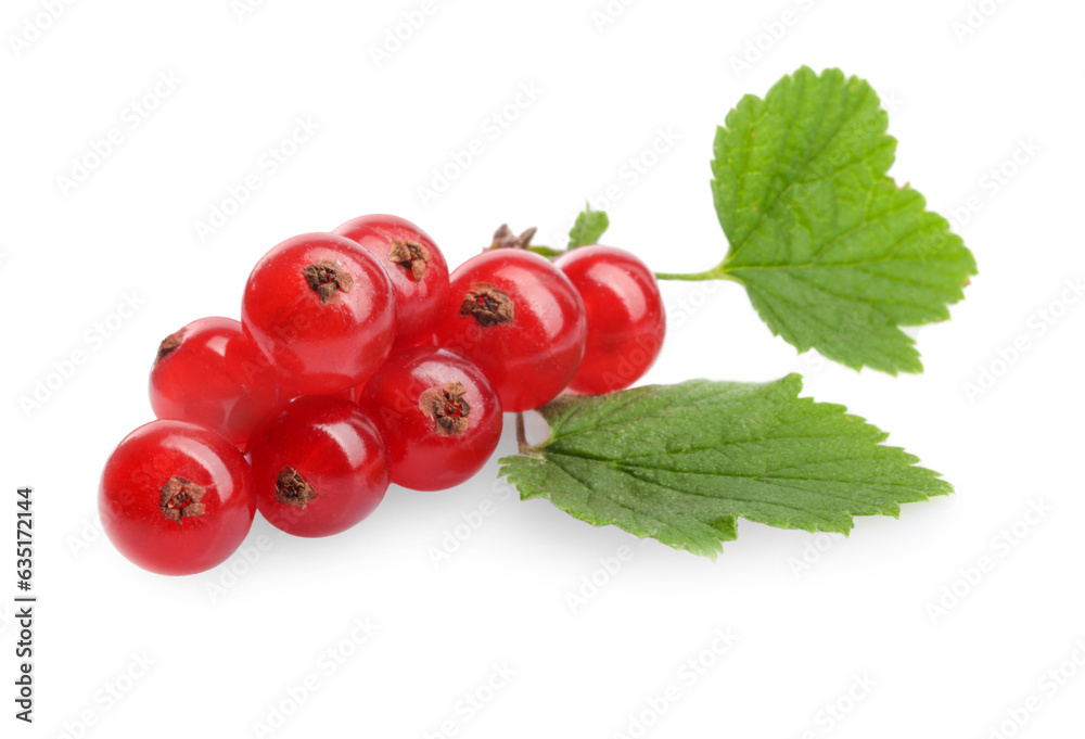 Bunch of fresh ripe redcurrants and green leaves isolated on white Bunch of fresh ripe redcurrants and green leaves isolated on white