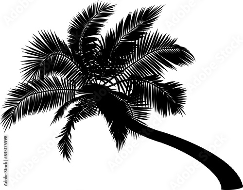 Shape of bent coconut palm tree. Vector illustration of leaning palm tree. Image of tropical palm tree trunk, foliage, branches, leaves in vector. Illustrations of vector tree. 