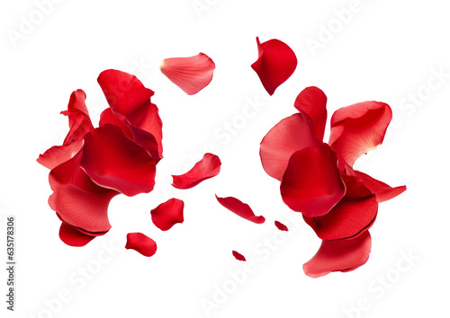 Obraz na plátně red rose flower petals scattered.