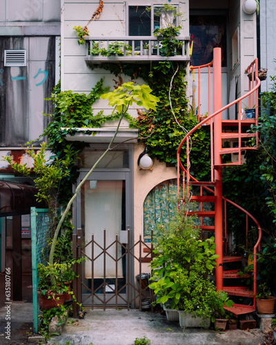 old house with flowers in Japan © Ryan Bates