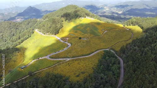A mountain full of yellow flowers all around