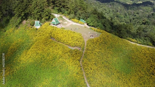 Aerial view of the hut in the middle of the yellow flowers on the mountain