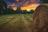 bales of hay - Strohballen - Heuballen - Heu - Stroh - field - harvest - summer - straw - farmland - blue cloudy sky - golden - beautiful - freshly - countryside - haystacks - harvesting 