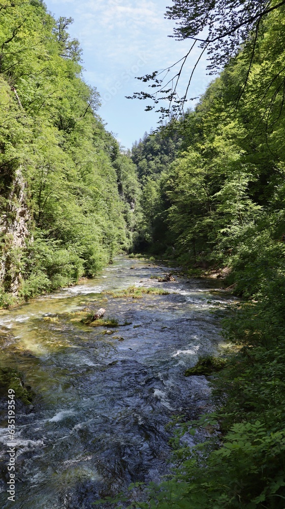 photo Vintgar Gorge, Soteska Vintgar slovenia europe photo Vintgar Gorge, Soteska Vintgar slovenia europe