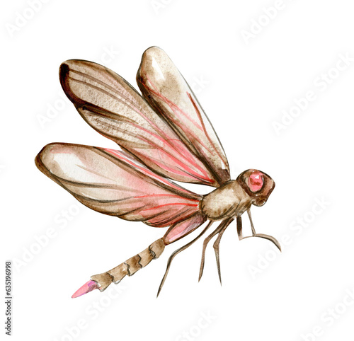 Watercolor hand drawn dragonfly . Watercolor illustration of wild animal. Perfect for wedding invitation, greetings card, posters.