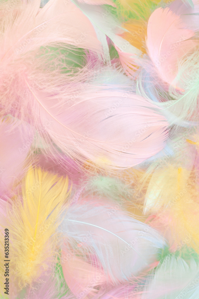 Colorful feather background, top view. Colorful feather background, top view.