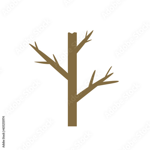dry tree without leaves