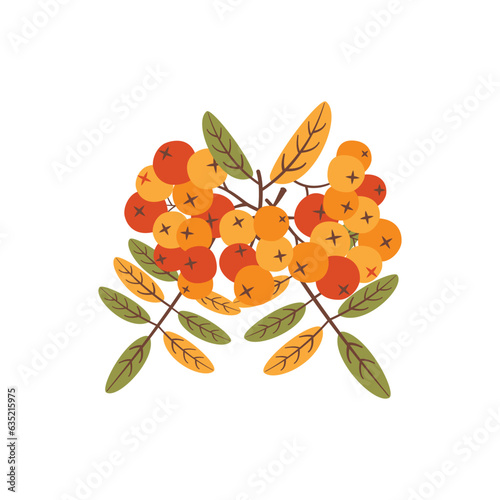 Autumn hand drawn clipart. Fall season cozy symbol. Autumn seasonal element - rowanberry. Harvest colorful illustration. Thanksgiving flat icon. Stock vector design