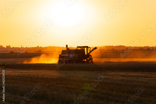 Combine harvester harvests ripe wheat. Harvesting of wheat in summer. Harvester agricultural machine. Concept of a rich harvest