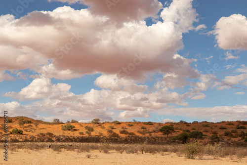 Cloudy Kalahari landscape, Kgalagadi Transfrontier Park, South Africa