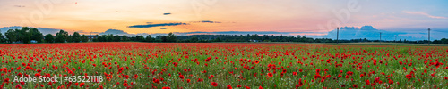 Landscape with nice sunset over poppy field - panorama