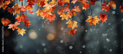 Flying fall maple leaves on autumn Background. Web banner