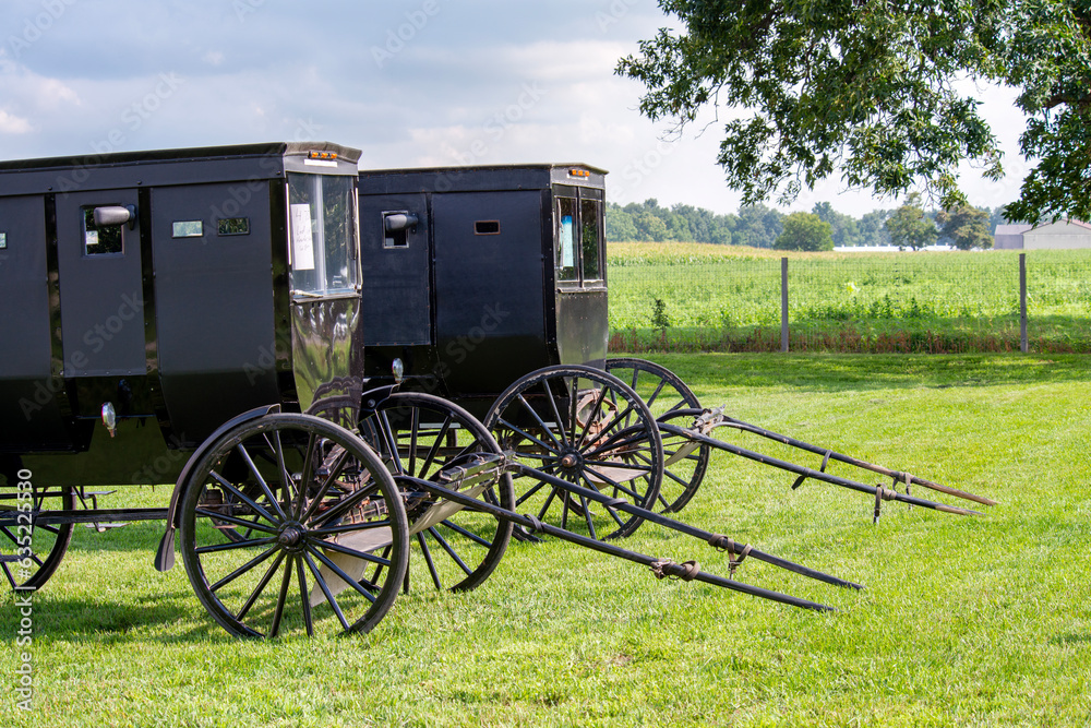 Two Amish Buggies sit at the side of the road. They are both for sale. Not cheap. And you will need a horse. What they call hereabouts a hay burner.