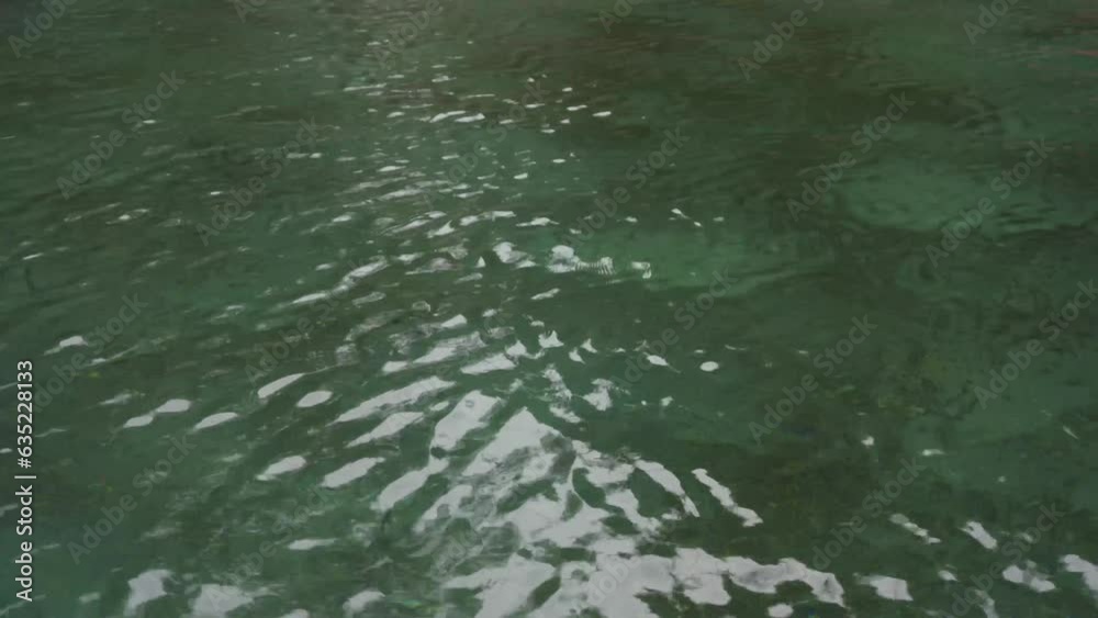 4K Clear water surface on river beautiful background with copy space. Fresh drinking water, colorful video. Environmental problems, lack of drinking water, climate change, drought, global warming.