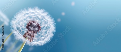 Close up of dandelion on the blue background. Generated by ai photo