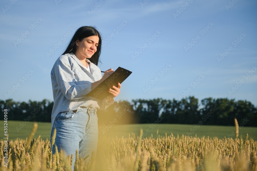 Young woman farmer works on a wheat field in the sun. Business woman plans her income in the field. Grain harvest. Young woman farmer works on a wheat field in the sun. Business woman plans her income in the field. Grain harvest.