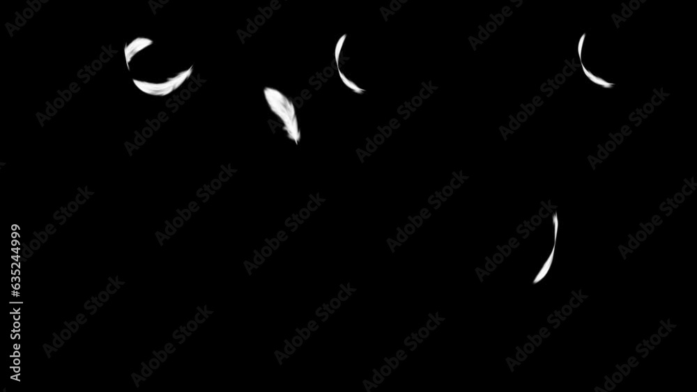 Fluffy white feathers. Looping video with transparent background.(050)