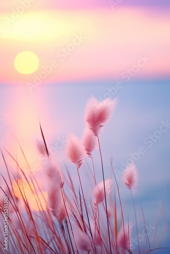 Little grass stem close-up with sunset over calm sea, sun going down over horizon. Pink and purple pastel watercolor soft tones. Beautiful nature background.