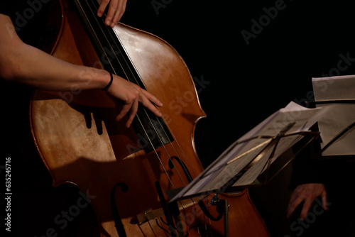 Musician play double bass