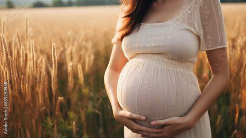 Pregnant woman petting her belly while standing in summer field surrounded by nature, close-up on belly with copy space. New life, Family concept